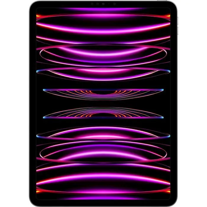 Apple -Pro iPad  (2022) - 11" - WiFi + Cellular - 2 To - Gris Sidéral